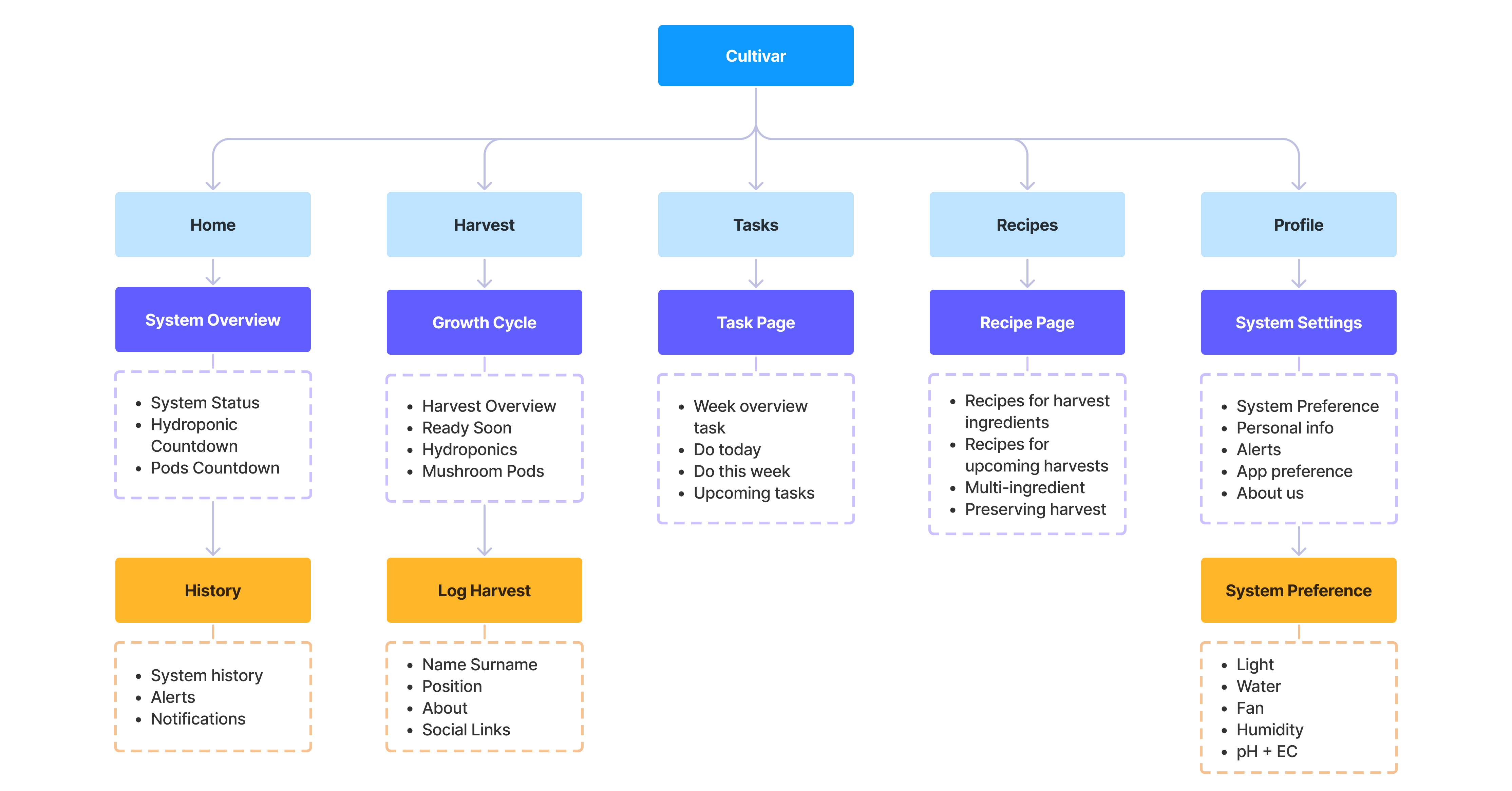 Information architecture diagram